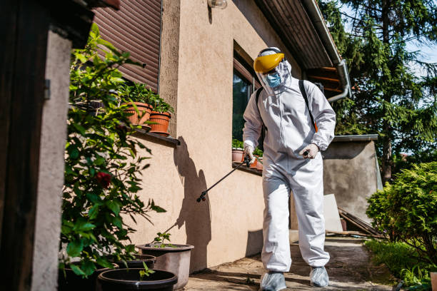 Best Pest Prevention Services  in Tano Road, NM